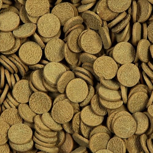 sera Stör Chips Nature XXL 3,8 Ltr. (1,7 kg) - Das natürliche Hauptfutter für größere Störe