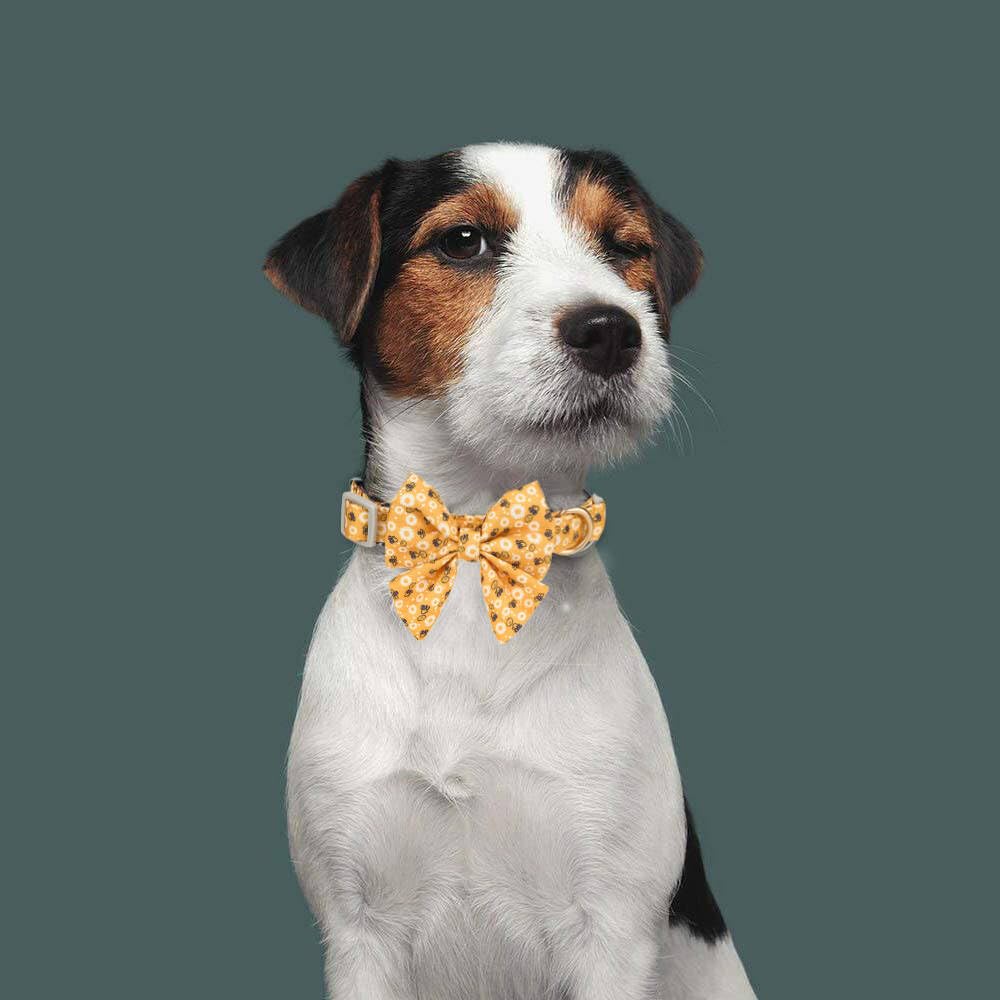 YUDOTE Dog Collar with Bow,Soft Lightweight Polyester with Printed Cute Bee Pattern for Medium Lively Dogs Daily Use Yellow - Image 3