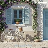 harueum music