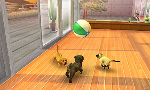 ハッピープライスセレクション nintendogs + cats トイ・プードル & Newフレンズ