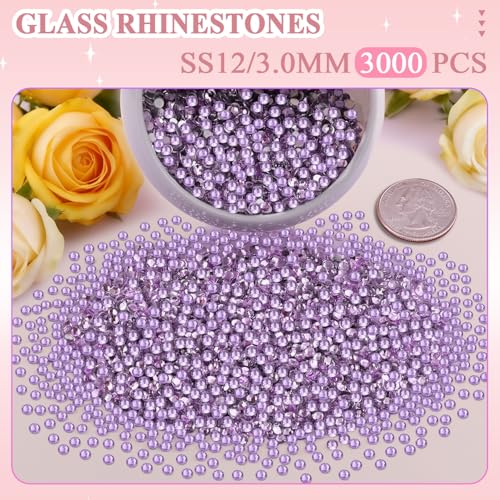 Image of 3000PCS SS12 /3mm Crystal Glass Rhinestones for Bedazzling (Violet) | Flatback Rhinestones for Crafting DIY Nail Art Makeup Decoration, Gems Diomand Charms for Tumbler Shoes Clothing Mug