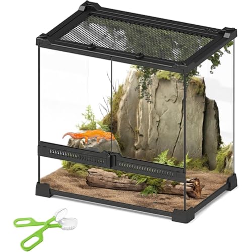 ঒ P[W P[X Ip P[W OXeEyaƐ|p@\Nbv𑡂zgsv JKXP[X NKP[W a肪֗ Eoh~ T eE gJQ wr  w ঒ގP[W ގP[Wۈ牀 wZ