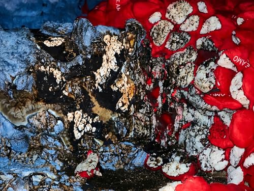 CA7RIEL and Paco Amoroso