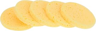 BCOATH 25pcs Crab Humidity Sponge Sink Sponge Natural Sponge Water Tray for Sink Hermit Crab Natural Sea Sponges Aquarium Filter Accessories Dish Cleaning Sponges Water Providing Sponge