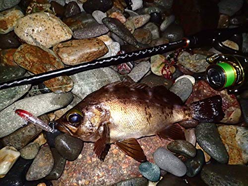 シマノ(SHIMANO) ルアー アジング メバリング ペンシルベイト ソアレ ライズショット スティック 60S AR-C 60mm 8g OL-260R 4枚目