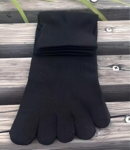 5{w\bNX Y Ղ̌C @ۂR hL ܖ{w C 