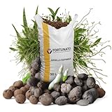 FORTUNATO B0FR97V9RF lato 2