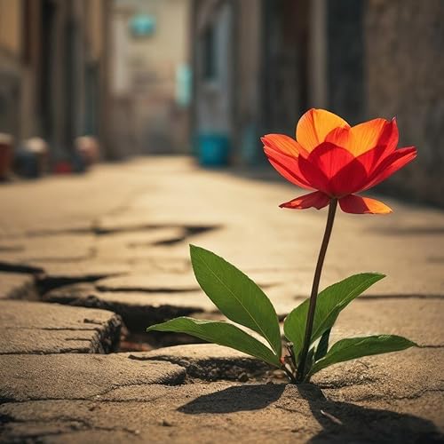 Nouvel &eacute;pisode du 11/09 20:03