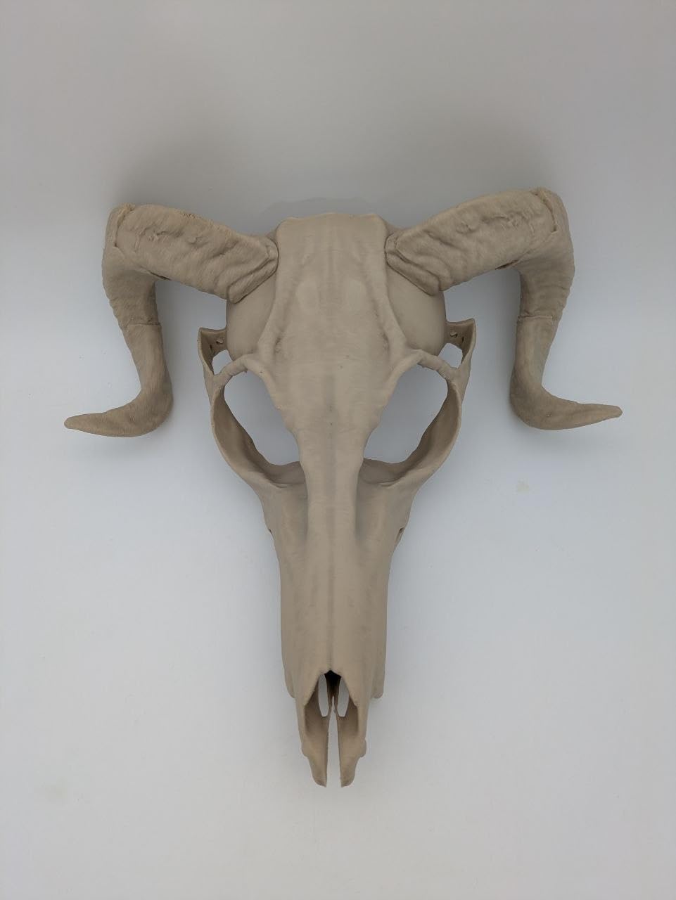Bone White Wendigo Skull Mask with Ram Horns (Small)