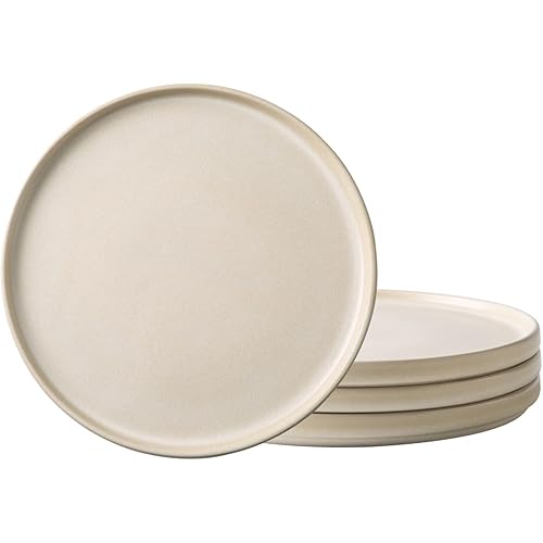 AmorArc Ceramic Dinner Salad Plates Set of 4, 8.0 Inch Reactive Matte Glaze Dish Set, Dessert,Salad, Appetizer, Small Dinner Plate,Microwave, Dishwasher Safe, Scratch Resistant, Ivory