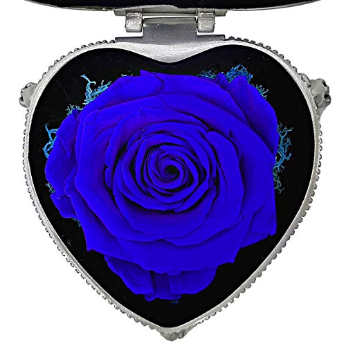Grunyia Preserved Flowers Roses, Morther\'s Day Gifts, Presents for Mom, Eternal Rose for Love Ones, Gift for Valentine\'s Day, Christmas Eve, Anniversary,Christmas, Holiday Present (Blue)