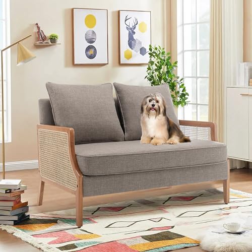 Aklaus 45 Fabric Loveseat with Rattan Arms