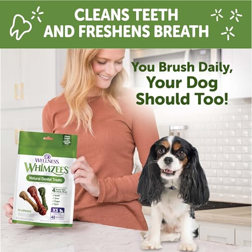 Image of Wellness Whimzees Brushzees Natural Dog Dental Treat, VOHC Accepted Chews, Freshens Breath, Extra-Small Size, 12.7 oz Bag, 48 Count (Pack of 2)