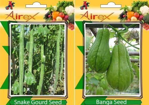 HIGH GROWTH SEEDS ONLY NOT PLANTS: SEED Snake and Banga Vegetables Seed + Humic (For Growth of All and Better Responce) 15 gm Humic + Pack Of 10 Seed Snake + 30 Banga SEED