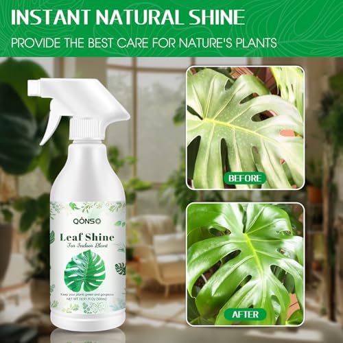 Spray Brillante para Hojas de Plantas de Interior 16.91 OZ miniatura 6