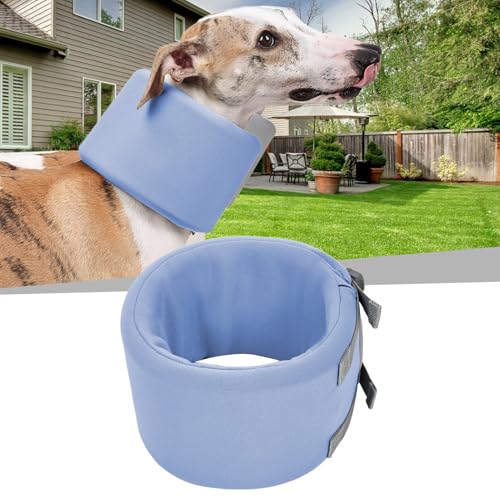 Collier cervical pour chien de grande taille idéal après le vétérinaire
