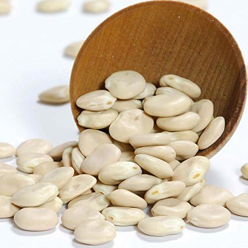 Lupini Beans - Dry - 1 resealable bag - 14 oz