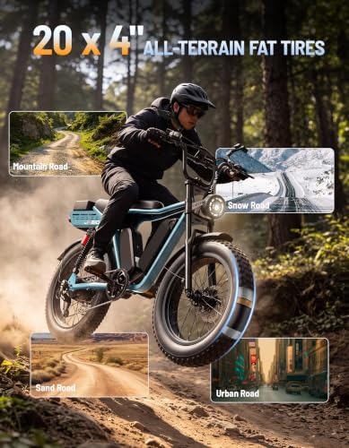 Jasion RetroVolt Max Dual Battery E-Bike