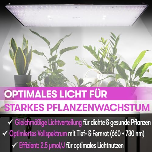 LED Grow Lampe 200W – 60 cm x 30 cm – Sonnenähnliche Pflanzenlampe mit Samsung LM301D LEDs – Vollspektrum 660 nm Rotlicht & 730 nm Far Red – Grow Light dimmbar, leise & hocheffizient für Indoor Grow