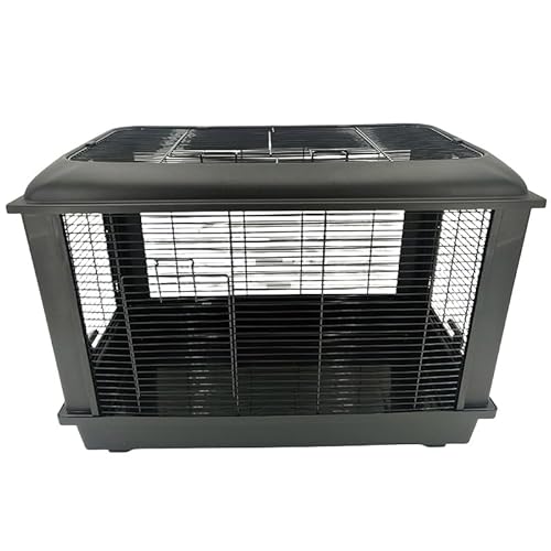 WAJA nX^[P[W nEX  [߃gC K ֗ SʃNA ʂ悢 ^ g |₷ ^т₷ (ubN,S̟B)