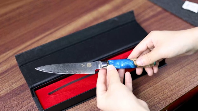 Amazon.com: Dnifo Kitchen Utility Knife 5 Inch, Japanese VG10