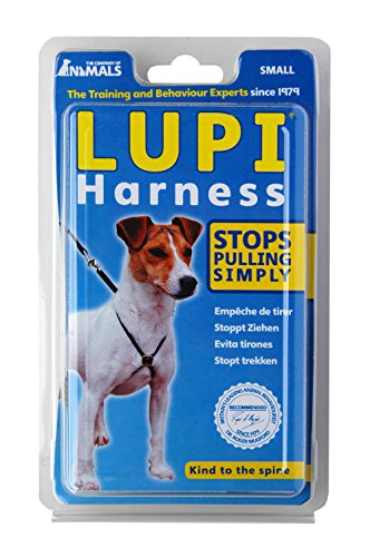 LUPI Harness Black Small