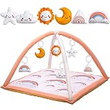 FEISIKE Rainbow Baby Play Gym Stage-Based Sensory and Motor Skill Development Language Discovery, 6