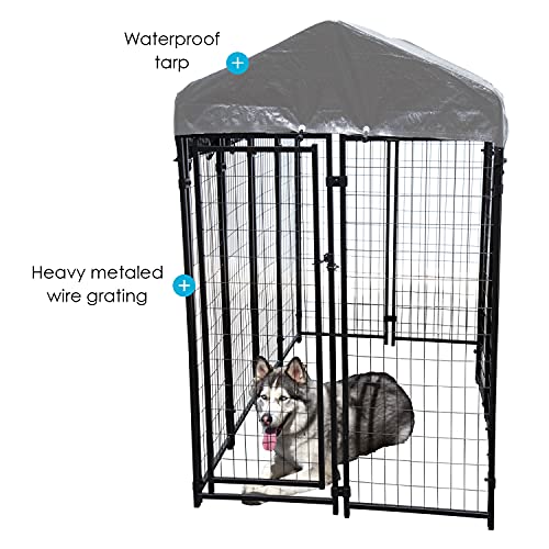 Dog Kennel Outdoor, Outside Kennels, Large Wire Crate, 4x8x6 Ft, Metal
