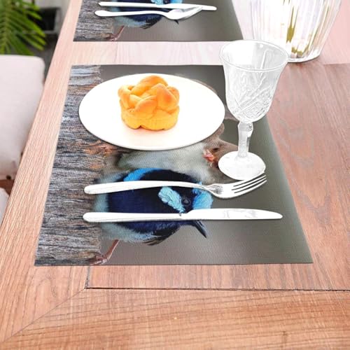 Sets de table en PVC anti-taches faciles à nettoyer