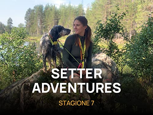  Setter Adventures