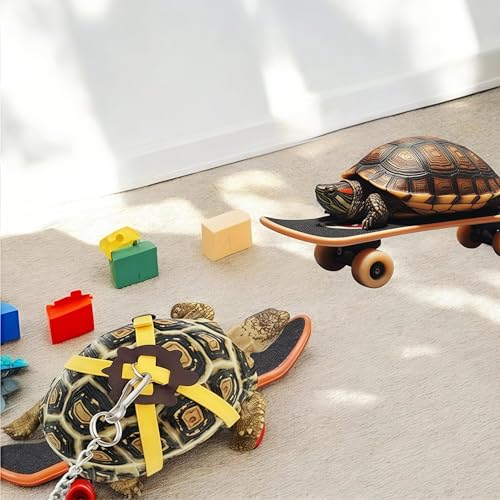 WizeFolk Skateboard für Schildkröten/Reptilien - Gelb, Spaßig, Tiergeschirr, Reptilien-spezifisches Design