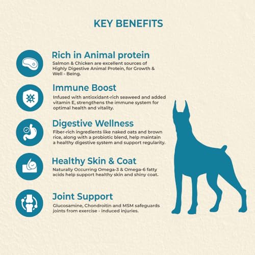 Image of Brunos Dry Dog Food Freespirit - Salmon & Chicken 15Kg (Pack of 1) | Food for All Life Stages | 81% Protein of Animal Origin | with Seaweed & Oats | Supports Digestion, Immunity, Coat & Joint Health