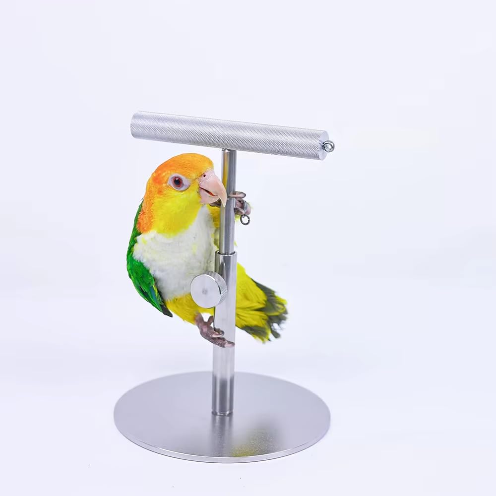 Soporte de Escritorio para Loros, Percha de Entrenamiento Totalmente Metálica para Aves