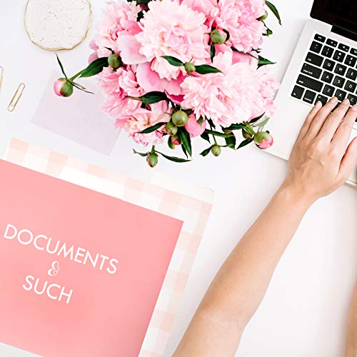 image for FLUYTCO Decorative Gold Foil File Folders - 12-Count Colored File Fold