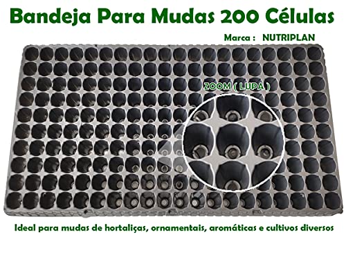 BANDEJA PLÁSTICA FLÉXIVEL MUDA SEMENTEIRA 200 CÉLULAS 20 UND