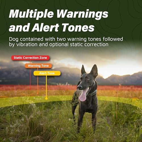 SpotOn Dog Fence Real-World Use
