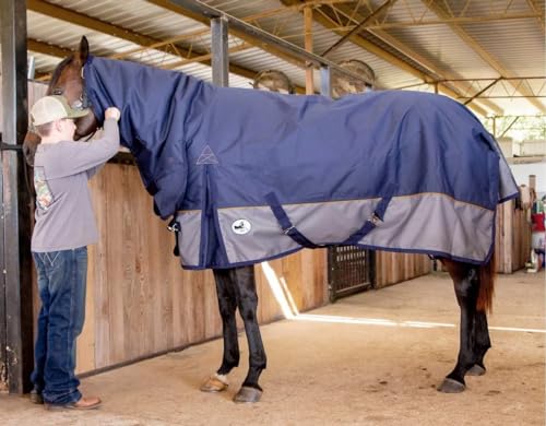 Jeffers Economy Plus Horse Turnout Blanket 84' with Combo Neck - Medium Weight 1200 Denier, 240G Polyfill, Waterproof Rug, Adjustable Chest, Belly Surcingles, Hind Leg Straps, Tail Flap - Navy Gray