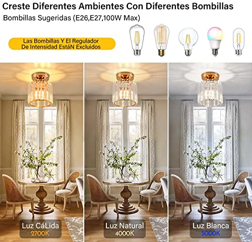 Spots, Reflectores Y Lámparas De Techo, Imagen adicional