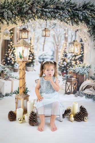 Arrière-plan de séance photo Noël avec accessoires studio 2,5m
