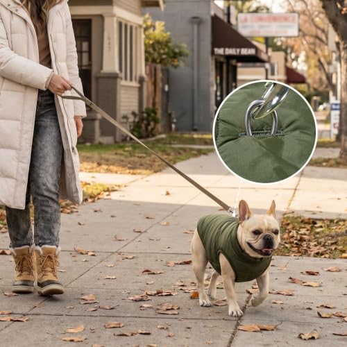 Image of JoyDaog Fleece Lined Dog Jacket for Small Dogs,Winter Dog Coat,Green S | Warm Windproof Puppy Vest for Cold Weather,Soft Cozy Doggie Clothes for Smaller Dog Breeds,Outdoor Daily Walk,Snow Play