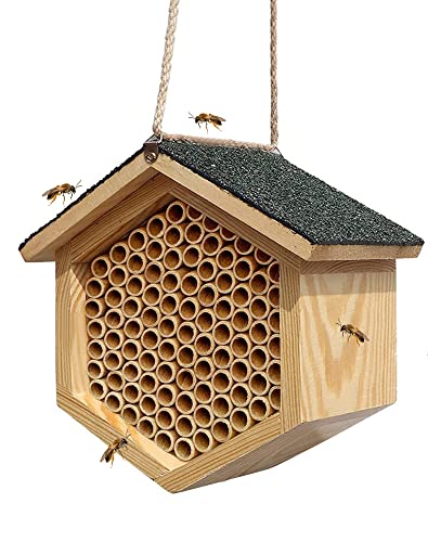 Benvo 100 Peças de Tubos Mason Bee de 6