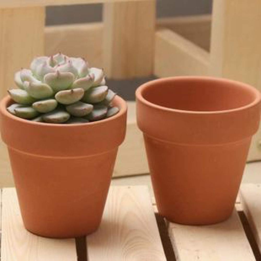 Amazon.co.jp: XXYXXY ミニクレイポットと多肉植物ポット28個 屋内