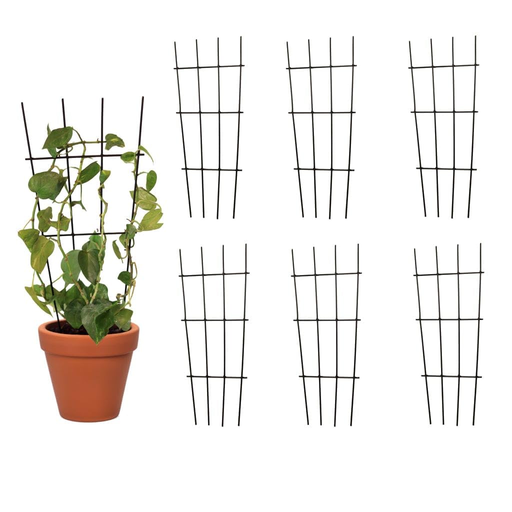 TrustBasket Metal Plant Trellis - 3 Pack -8 TrustBasket Metal Plant Trellis - 3 Pack -8