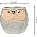 6 Pcs Mini Small Ceramic Owl Succulent Plant Pot Flower Planter Holder Cactus Planter Pot Flower Pot Container Planter