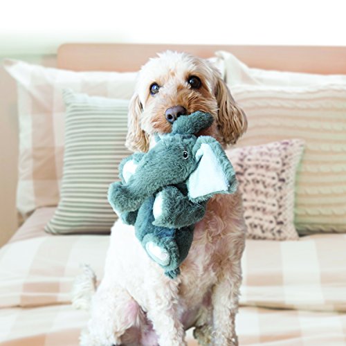 Kong - Leão infantil confortável - Pequeno