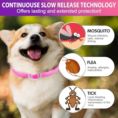Zeckenhalsband für Hunde 4 Stück, Zecken-Flohschutz Halsband für Hunde, Verstellbar Flohhalsband für Hunde 60 cm, 24 Monate wirksamer Schutz gegen Zecken Und Flöhen | Wasserfest