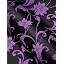 Black and Purple