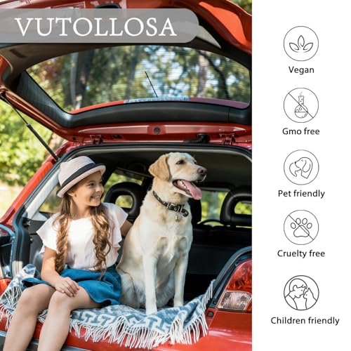 Image of 2-Pack Car Air Fresheners, Car Deodorizer, Coconut Scented Air Freshener - Long Lasting Hanging Car Air Freshener for Men and Women, Car Scent Diffuser by VUTOLLOSA