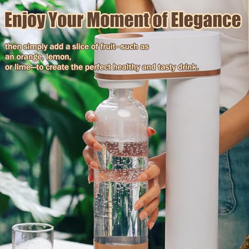 generic 炭酸水メーカー 0.6Lガスシリンダーと1Lウォーターボトル付き の商品画像 4