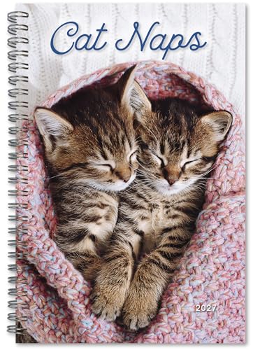 Cat Naps 2027 Weekly & Monthly Planner, Adorable Sleeping Cats